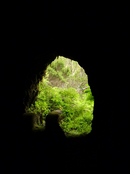 05.08.2012 Folhadal PR 17 — Von der Schotterpiste auf die Levada do Plaino Velho und zurück — Foto 9