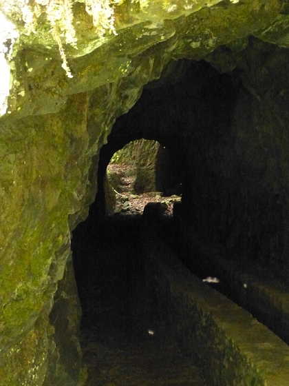 05.08.2012 Folhadal PR 17 — Von der Schotterpiste auf die Levada do Plaino Velho und zurück — Foto 10