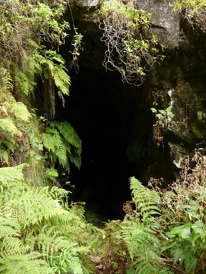 05.08.2012 Folhadal PR 17 — Von der Schotterpiste auf die Levada do Plaino Velho und zurück — Foto 11