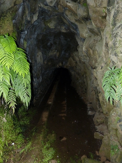 05.08.2012 Folhadal PR 17 — Von der Schotterpiste auf die Levada do Plaino Velho und zurück — Foto 12