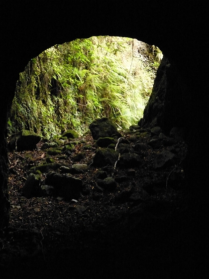 05.08.2012 Folhadal PR 17 — Von der Schotterpiste auf die Levada do Plaino Velho und zurück — Foto 13