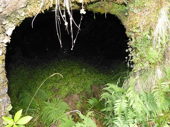 05.08.2012 Folhadal PR 17 — Von der Schotterpiste auf die Levada do Plaino Velho und zurück — Foto 16