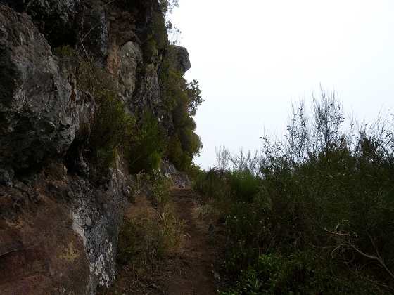 05.08.2012 Folhadal PR 17 — Levada da Serra — Foto 1