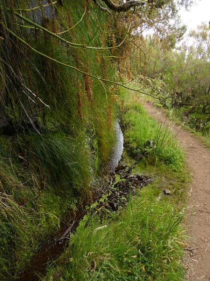 05.08.2012 Folhadal PR 17 — Levada da Serra — Foto 2