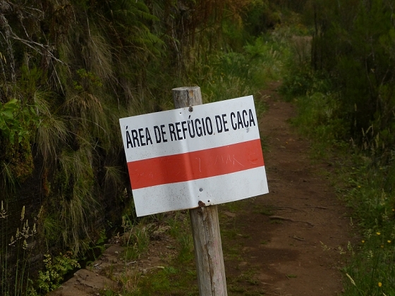 05.08.2012 Folhadal PR 17 — Levada da Serra — Foto 3