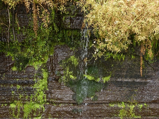 05.08.2012 Folhadal PR 17 — Levada da Serra — Foto 4