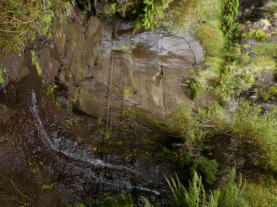 05.08.2012 Folhadal PR 17 — Levada da Serra — Foto 5