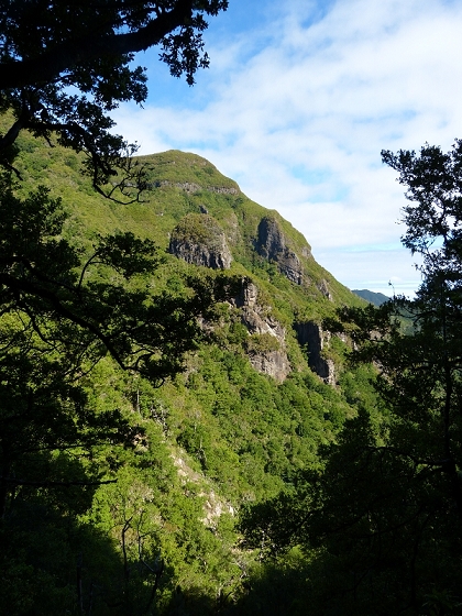 05.08.2012 Folhadal PR 17 — Auf der Levada do Norte im Folhadal — Foto 1