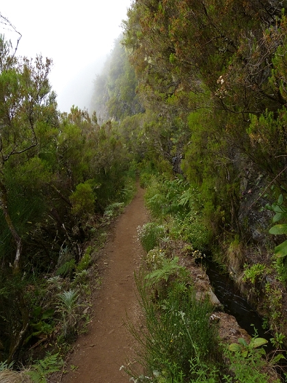05.08.2012 Folhadal PR 17 — Levada da Serra — Foto 6