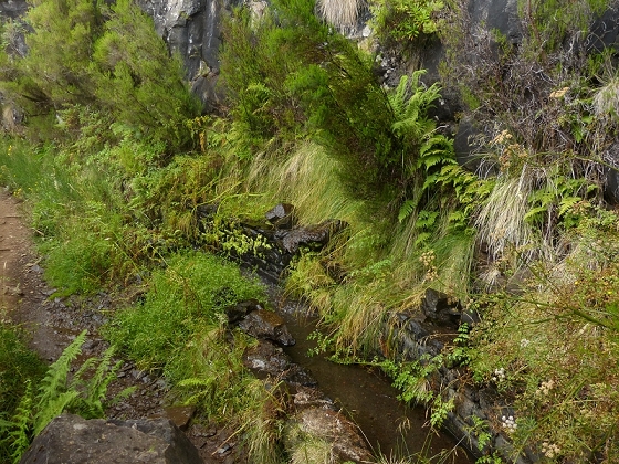 05.08.2012 Folhadal PR 17 — Levada da Serra — Foto 7