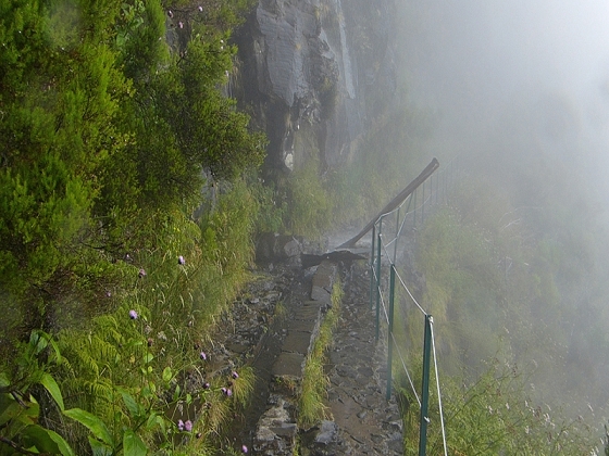 05.08.2012 Folhadal PR 17 — Levada da Serra — Foto 9