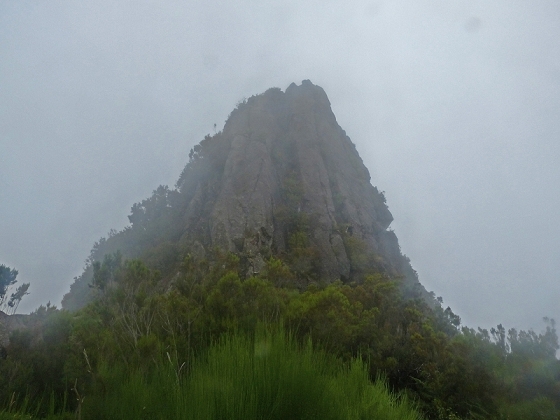 05.08.2012 Folhadal PR 17 — Levada da Serra — Foto 10