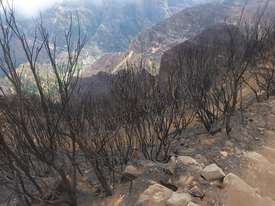05.08.2012 Folhadal PR 17 — Vom Pinaculo zur ER-110 (kurz nach den Waldbränden) — Foto 2