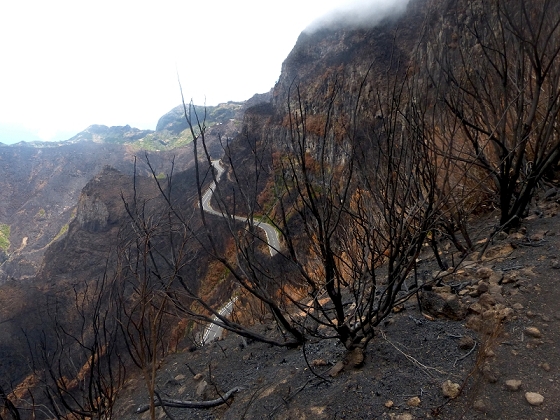 05.08.2012 Folhadal PR 17 — Vom Pinaculo zur ER-110 (kurz nach den Waldbränden) — Foto 4