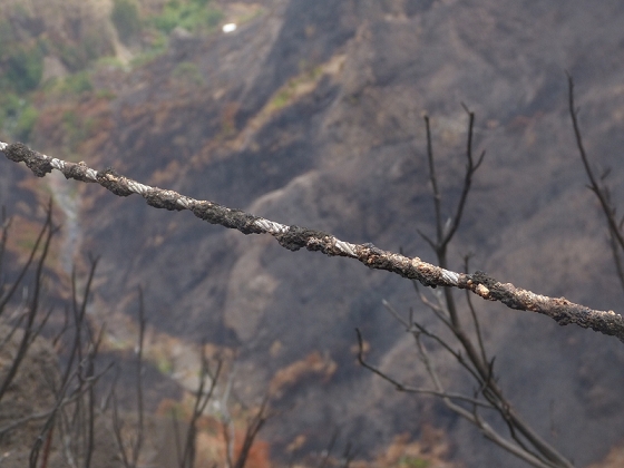 05.08.2012 Folhadal PR 17 — Vom Pinaculo zur ER-110 (kurz nach den Waldbränden) — Foto 5