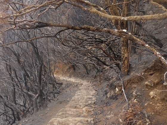 05.08.2012 Folhadal PR 17 — Vom Pinaculo zur ER-110 (kurz nach den Waldbränden) — Foto 7