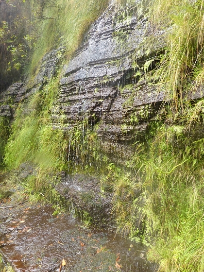 05.08.2012 Folhadal PR 17 — Vom Pinaculo zur ER-110 (kurz nach den Waldbränden) — Foto 11