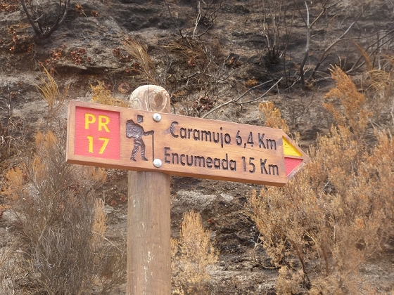 05.08.2012 Folhadal PR 17 — Vom Pinaculo zur ER-110 (kurz nach den Waldbränden) — Foto 12