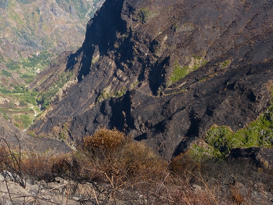 05.08.2012 Folhadal PR 17 — Vom Pinaculo zur ER-110 (kurz nach den Waldbränden) — Foto 18