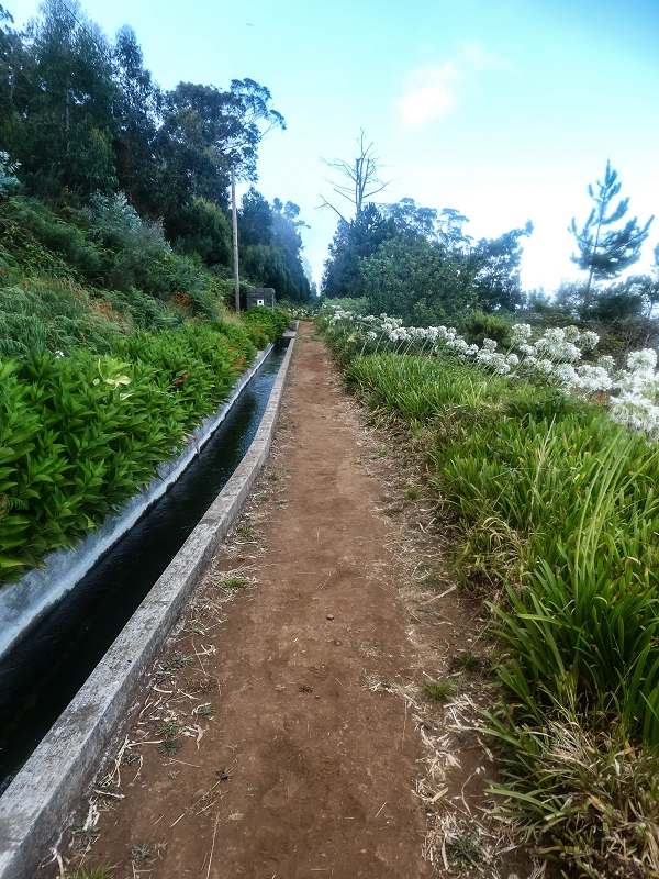 Levada Nova — Between Arco da Calheta and the first stream crossing — photo 1