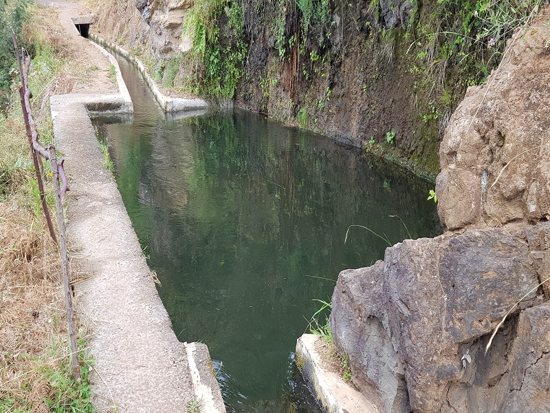 05.08.2021 Auf einem der schönsten Abschnitte der Levada Nova zwischen Arco Calheta und Canhas — Zurück zum Ausgangspunkt — Foto 5
