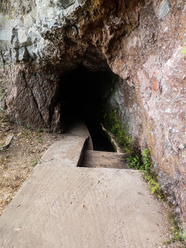 05.08.2021 Auf einem der schönsten Abschnitte der Levada Nova zwischen Arco Calheta und Canhas — Zurück zum Ausgangspunkt — Foto 6