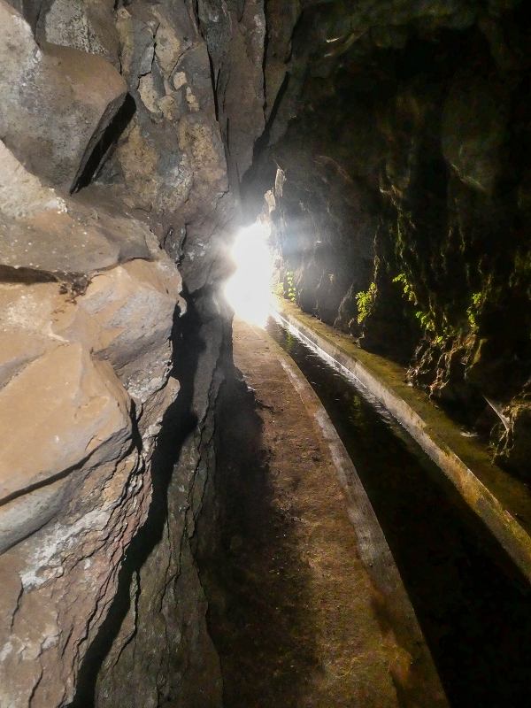 05.08.2021 Auf einem der schönsten Abschnitte der Levada Nova zwischen Arco Calheta und Canhas — Zurück zum Ausgangspunkt — Foto 7