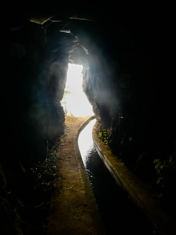 05.08.2021 Auf einem der schönsten Abschnitte der Levada Nova zwischen Arco Calheta und Canhas — Zurück zum Ausgangspunkt — Foto 8
