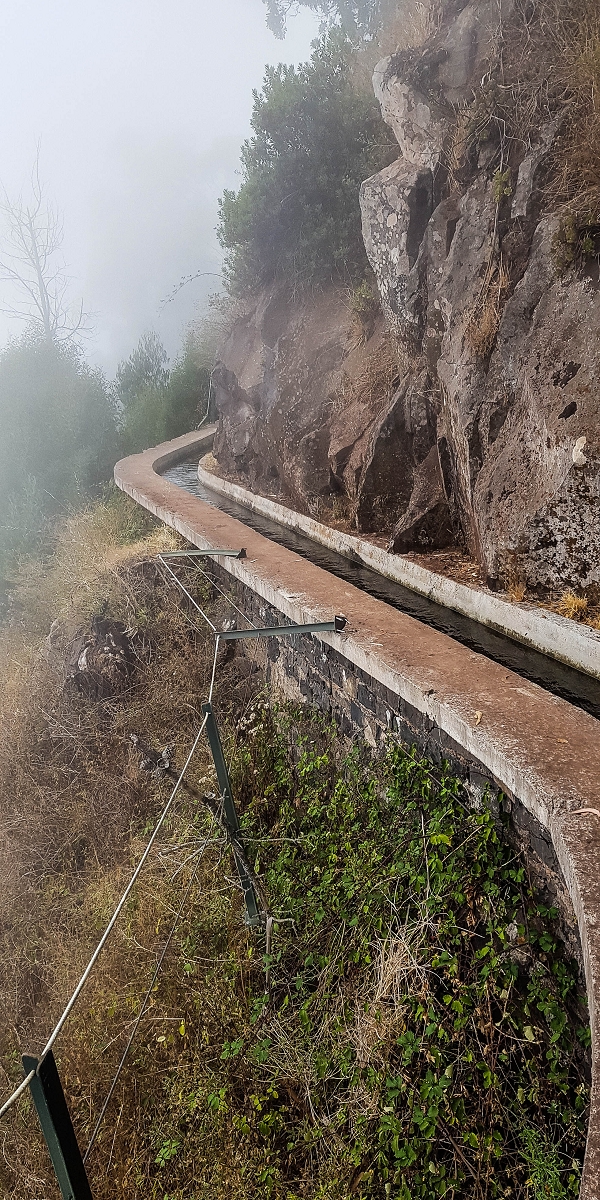05.08.2021 Auf einem der schönsten Abschnitte der Levada Nova zwischen Arco Calheta und Canhas — Zurück zum Ausgangspunkt — Foto 10