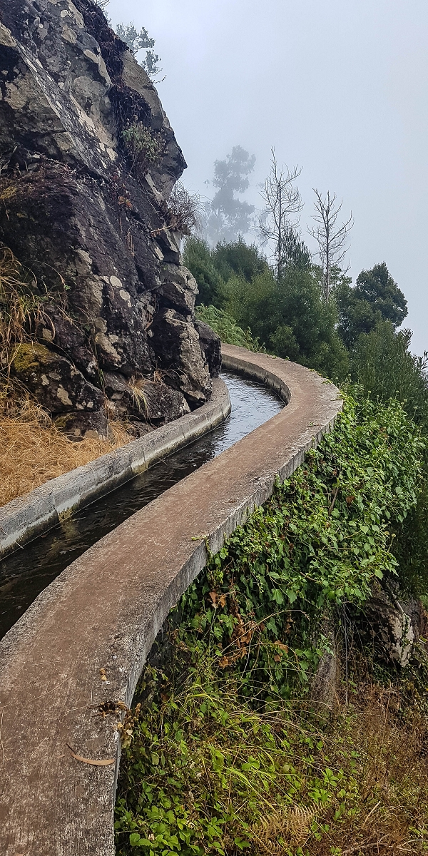 Levada Nova — Between Arco da Calheta and the first stream crossing — photo 5