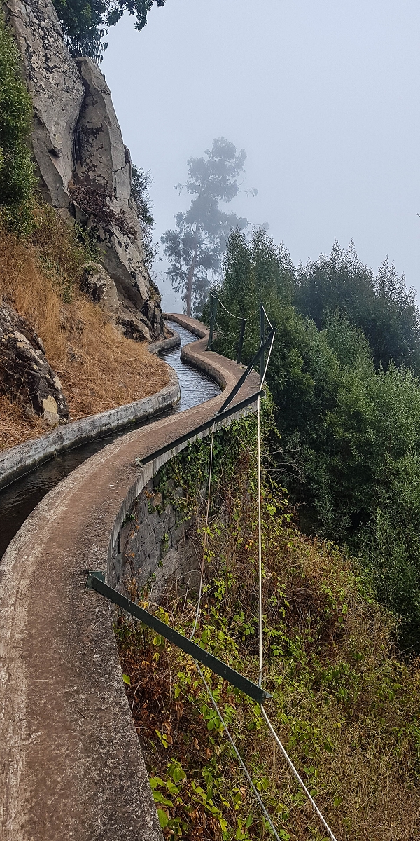 Levada Nova — Between Arco da Calheta and the first stream crossing — photo 6