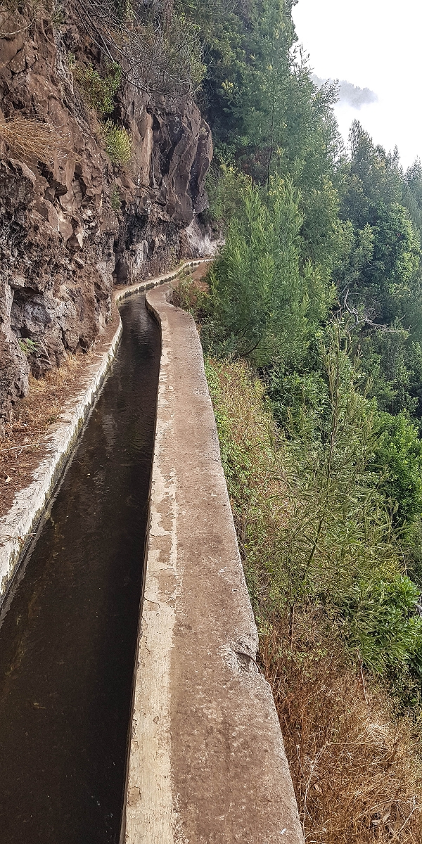 Levada Nova — Between Arco da Calheta and the first stream crossing — photo 7