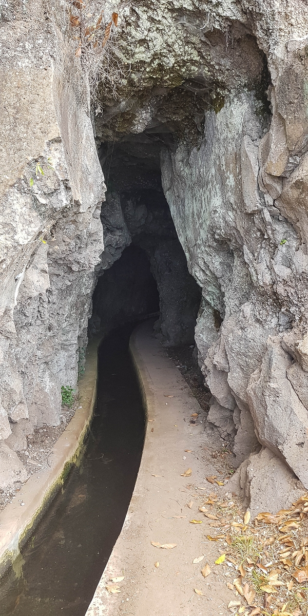 Levada Nova — Between Arco da Calheta and the first stream crossing — photo 8