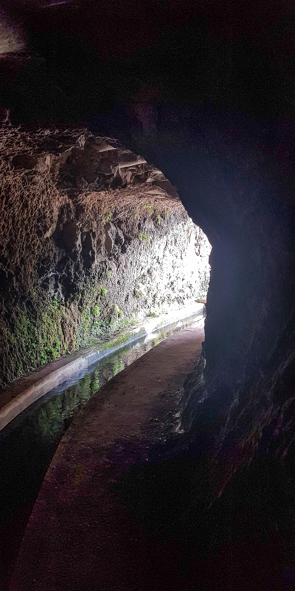 Levada Nova — Between Arco da Calheta and the first stream crossing — photo 9