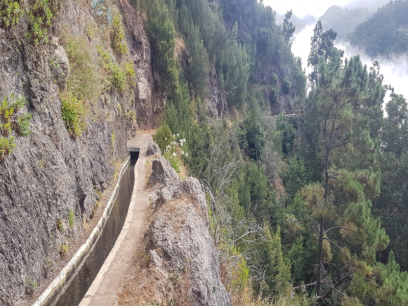 Levada Nova — Between Arco da Calheta and the first stream crossing — photo 10