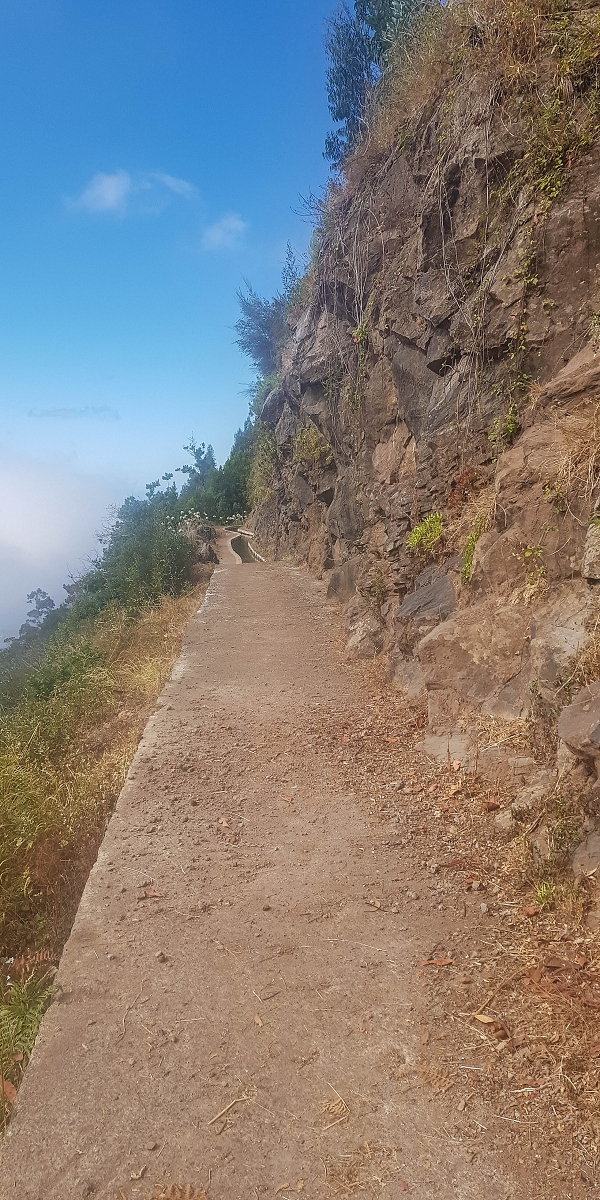 Levada Nova — Between Arco da Calheta and the first stream crossing — photo 11