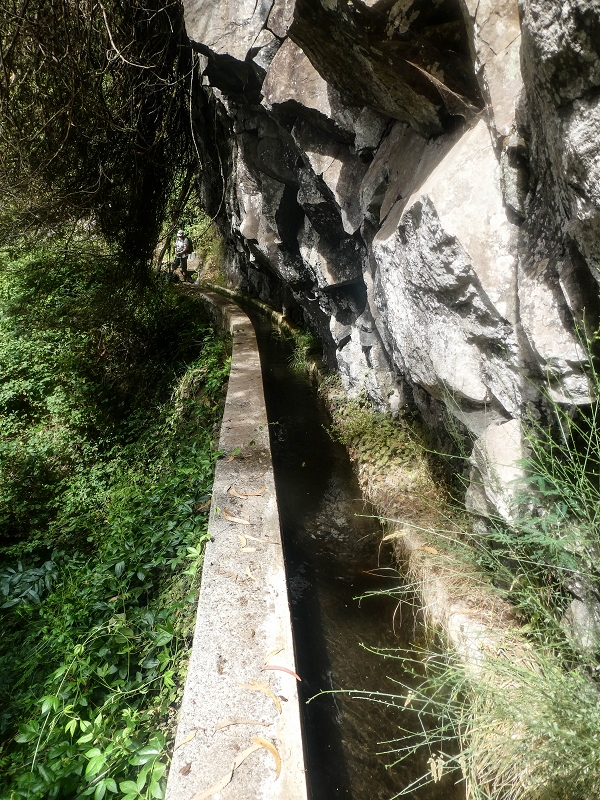 05.08.2021 Auf einem der schönsten Abschnitte der Levada Nova zwischen Arco Calheta und Canhas — Die erste Bachpassage mit der Umgehung — Foto 2
