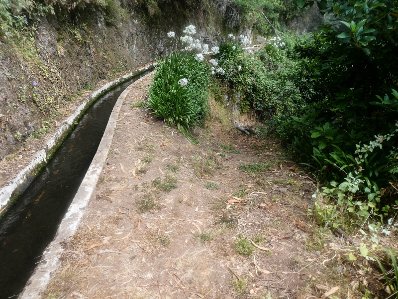 05.08.2021 Auf einem der schönsten Abschnitte der Levada Nova zwischen Arco Calheta und Canhas — Die erste Bachpassage mit der Umgehung — Foto 3