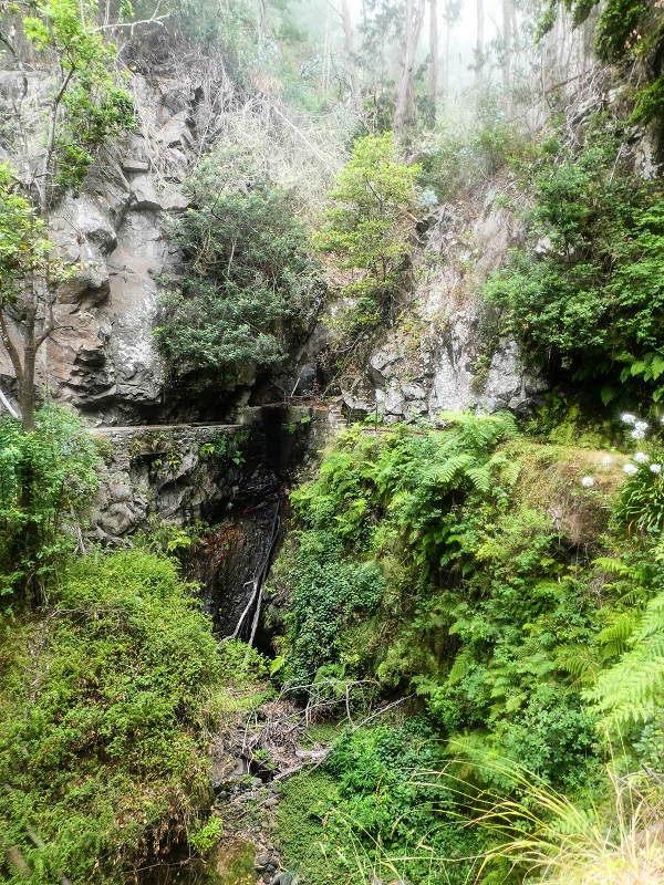 05.08.2021 Auf einem der schönsten Abschnitte der Levada Nova zwischen Arco Calheta und Canhas — Die erste Bachpassage mit der Umgehung — Foto 5