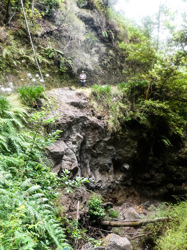 05.08.2021 Auf einem der schönsten Abschnitte der Levada Nova zwischen Arco Calheta und Canhas — Die erste Bachpassage mit der Umgehung — Foto 7