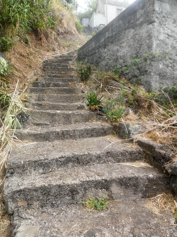 05.08.2021 Auf einem der schönsten Abschnitte der Levada Nova zwischen Arco Calheta und Canhas — Pinheiro-Zugang — Foto 1