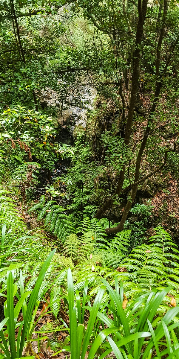 Levada Nova — Second crossing of the Ribeira da Madalena with the waterfalls — photo 1
