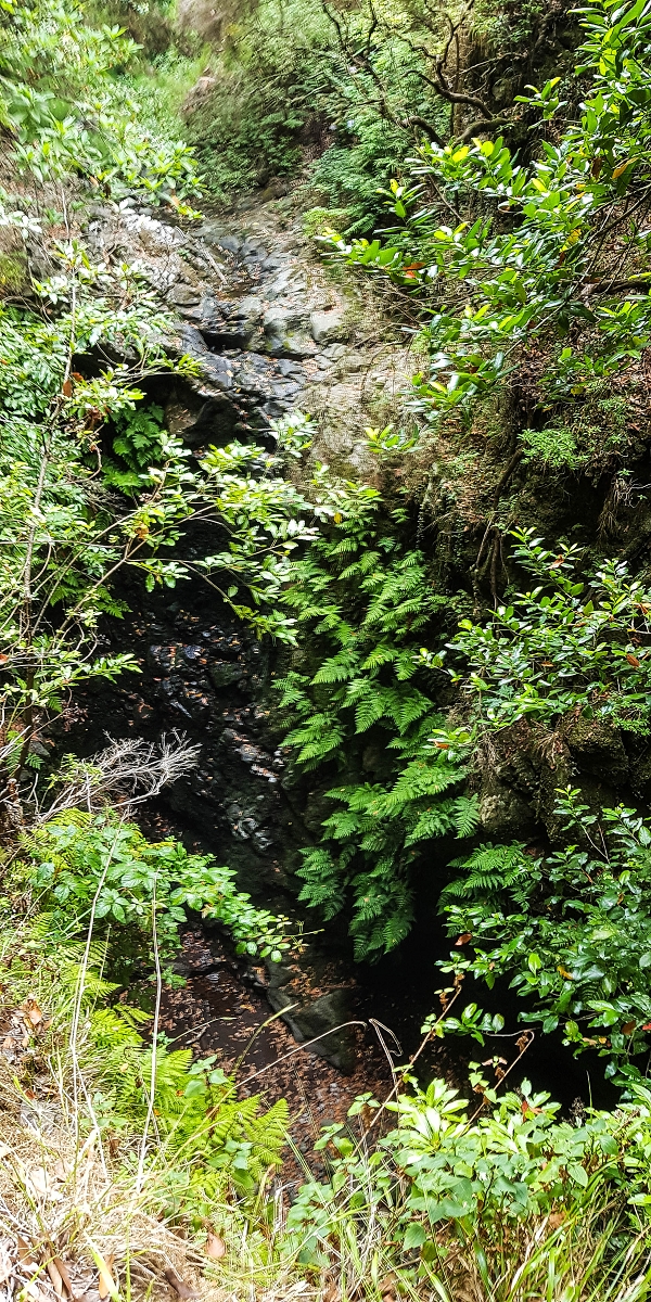 Levada Nova — Second crossing of the Ribeira da Madalena with the waterfalls — photo 2