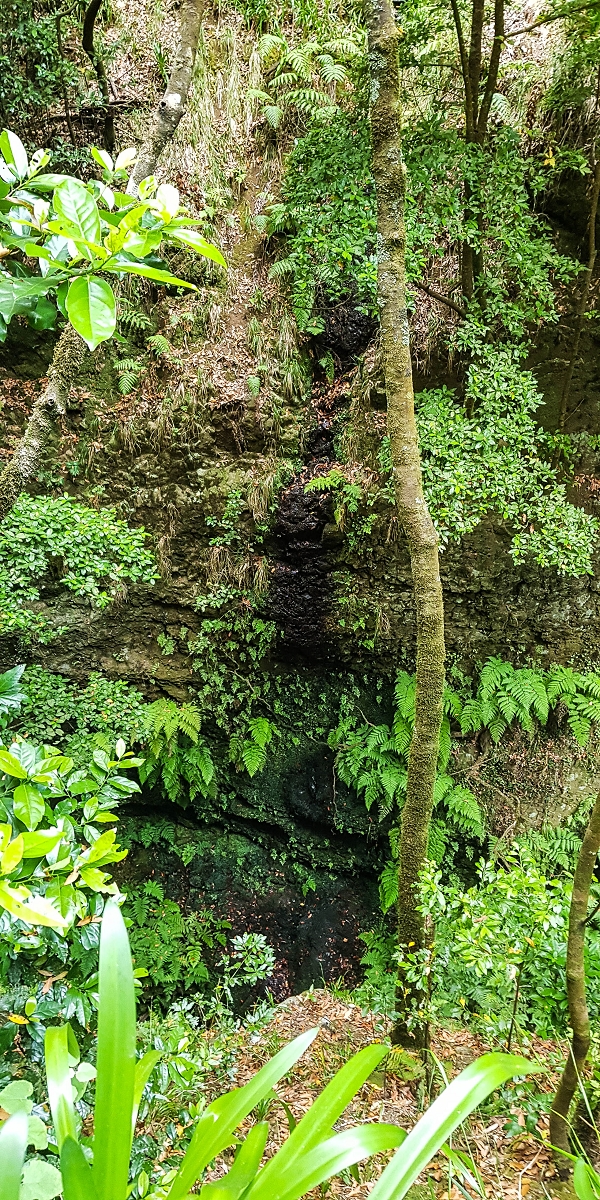 05.08.2021 Auf einem der schönsten Abschnitte der Levada Nova zwischen Arco Calheta und Canhas — Über die zweite zur dritten Bachpassage — Foto 5