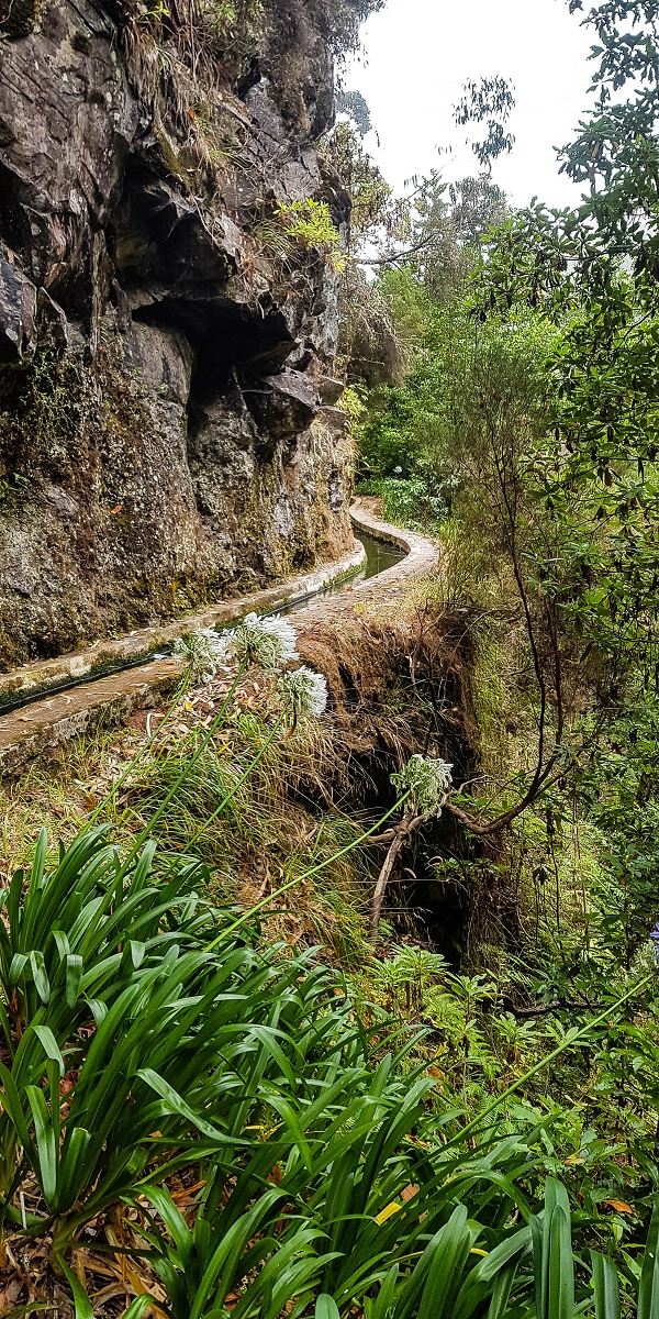 05.08.2021 Auf einem der schönsten Abschnitte der Levada Nova zwischen Arco Calheta und Canhas — Über die zweite zur dritten Bachpassage — Foto 7
