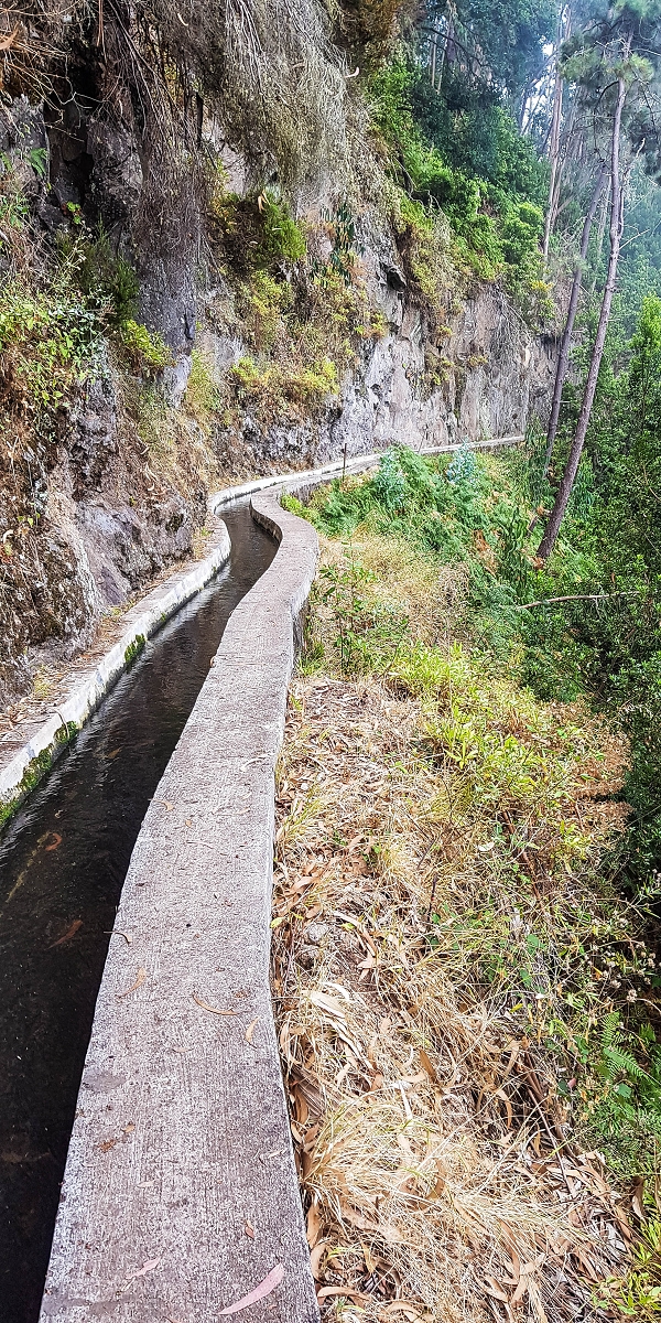 05.08.2021 Auf einem der schönsten Abschnitte der Levada Nova zwischen Arco Calheta und Canhas — Über die zweite zur dritten Bachpassage — Foto 8