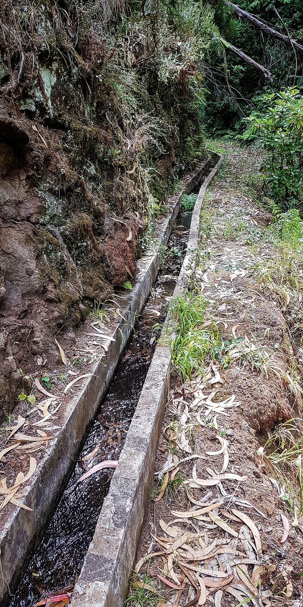 Levada Nova — The third stream crossing with the feeder levada — photo 2