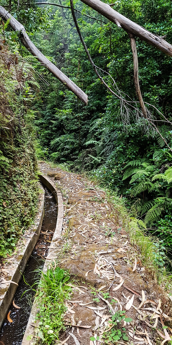 Levada Nova — The third stream crossing with the feeder levada — photo 3
