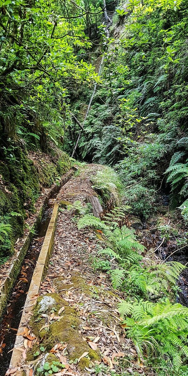 Levada Nova — The third stream crossing with the feeder levada — photo 4
