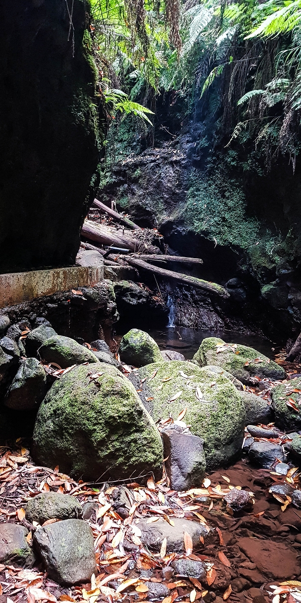 Levada Nova — The third stream crossing with the feeder levada — photo 5